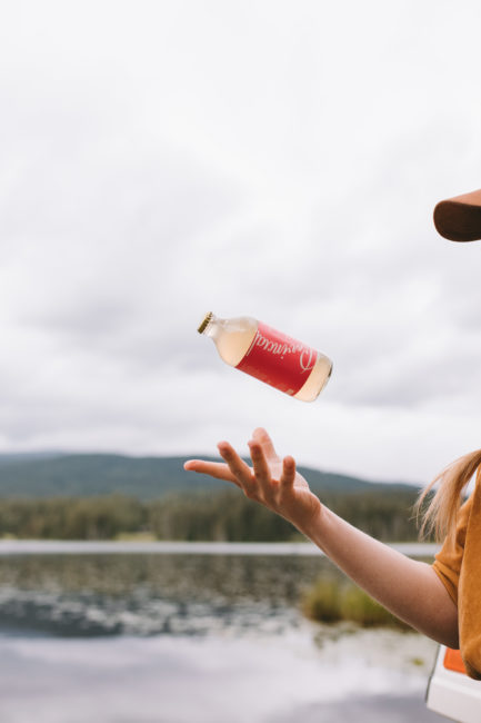 Apricot, Lemon & Vodka Sour