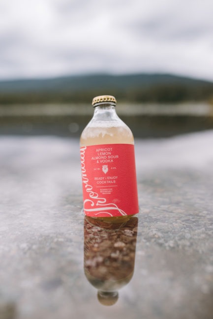 Apricot, Lemon & Vodka Sour