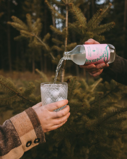 Spruce Tip, Vanilla & Gin